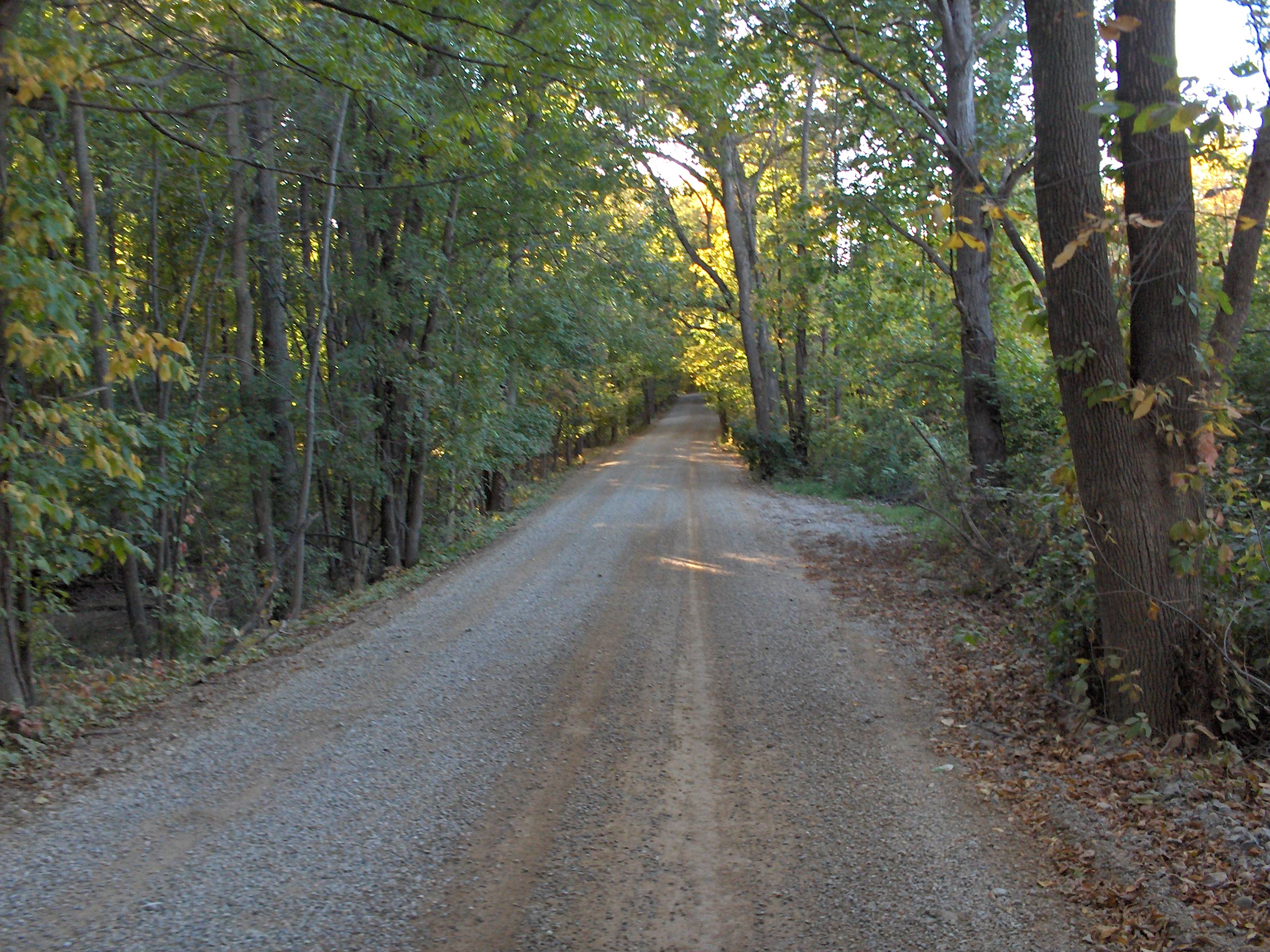 Indian Lake Technologies